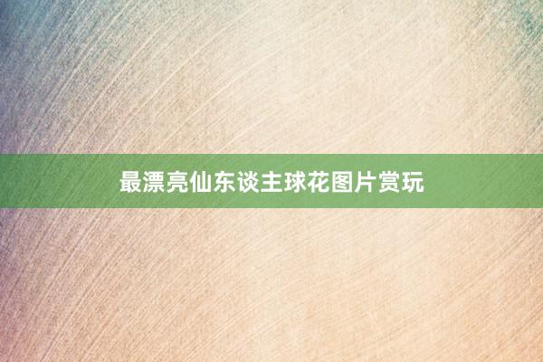 最漂亮仙东谈主球花图片赏玩